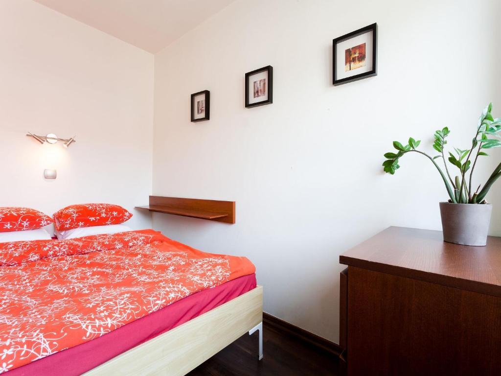 Irish Apartment Krakkó Szoba fotó